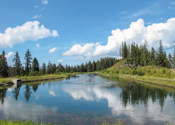 Schanzlbichl-3 By Interhome Appartamento Fügen